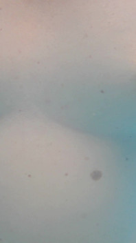 Des Seins Dans La Piscine