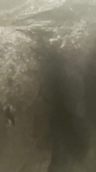 Shower Pussy