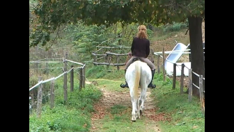 FM Video VOD: The Knights of Sex - (original Full Movie Uncut)