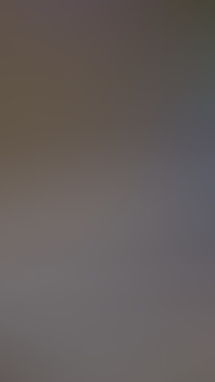 Hot Granny in the Hot Tub Time Machine