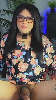Stream 27 August 2025