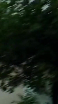 Ébano madura con curvas toma polla gruesa y facial