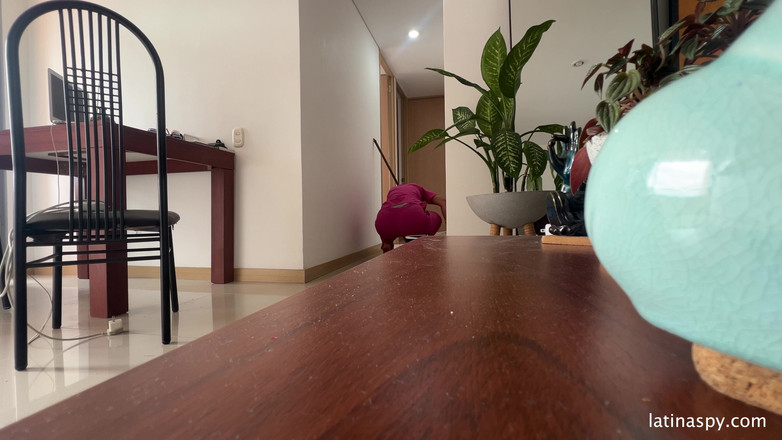 Latinaspy: Meid met enorme kont maakt apt schoon en trekt dan...