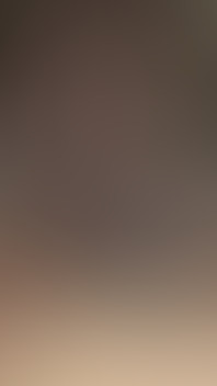 The Black Guy with the Big Black Cock Is Horny and Jerking off Completely Naked