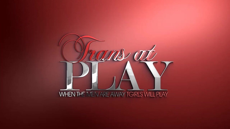 Trans 500: Время игр Тани