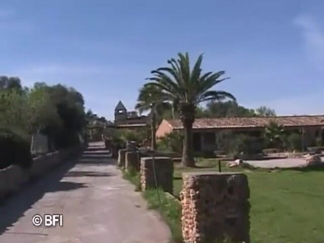 Amazing asses and pussies: Mallorca
