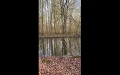 Naomi становится грязной во время ее походки в лесу
