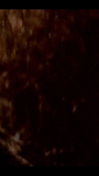 Inside My Panties