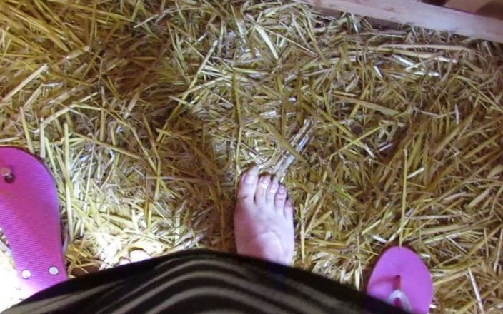 Barefoot Stables: Pissy Sissy