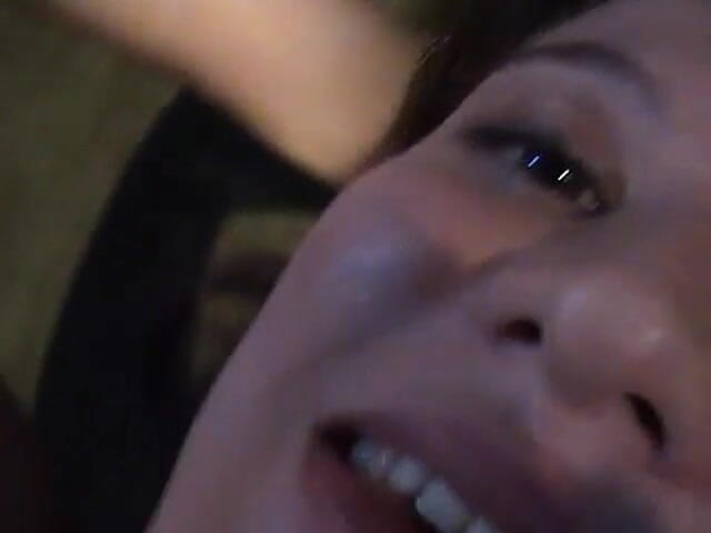 King Of Amateur: Binges s ptákem