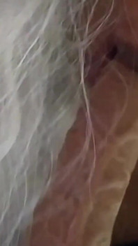 Bini miang menyempurnakan blowjob yang bagus untuk menggembirakan kekasihnya 1
