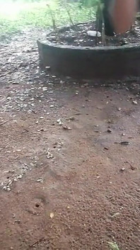 Моя падчерица перед соблазном