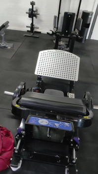 Ass at the Gym