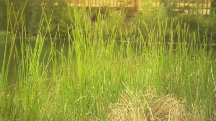 CBD Media: परफेक्ट चूत वाली प्यारी कमसिन की शादीशुदा आदमी द्वारा नाव पर जोरदार चुदाई
