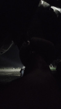 2 Travestiti Francesi Offerti Nella Foresta. 4 Gradi 3hoo Vanessabitchx Parischiennetrvprod91