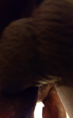 Hallelujah Johnson: Primo piano del Mio culo