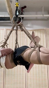 Diario di addestramento della fidanzata sexy 24