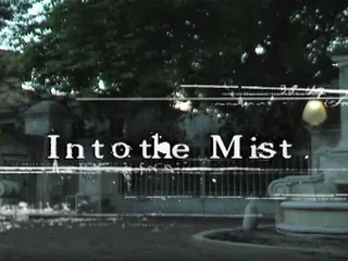 Into the Mist Episode Iii:something Sinister