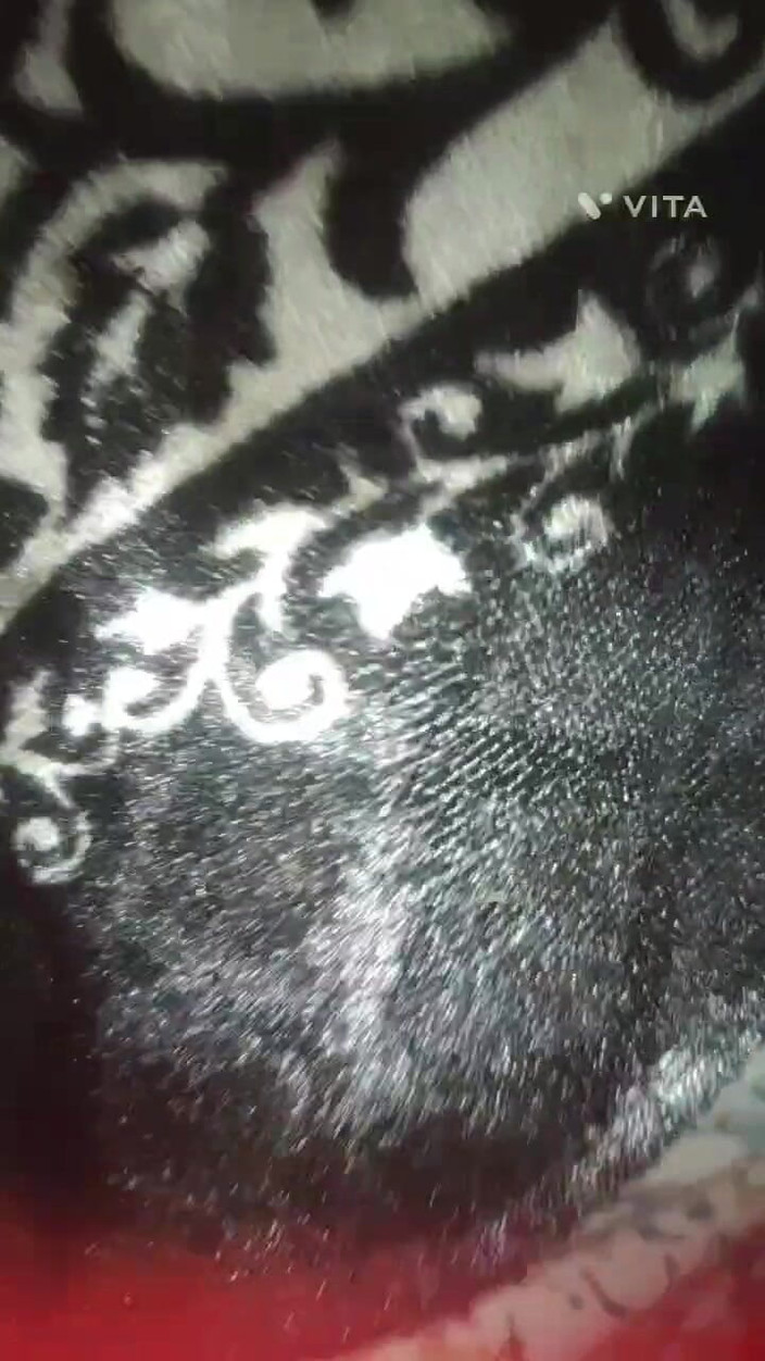 Momib45: Sex with a Fan Boy