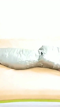 이집트 미라 프로젝트