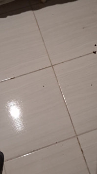 Porra Vazou E Ficou Pendurada No Pinto
