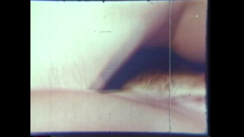 Vintage megastore: गधा आग सुअर