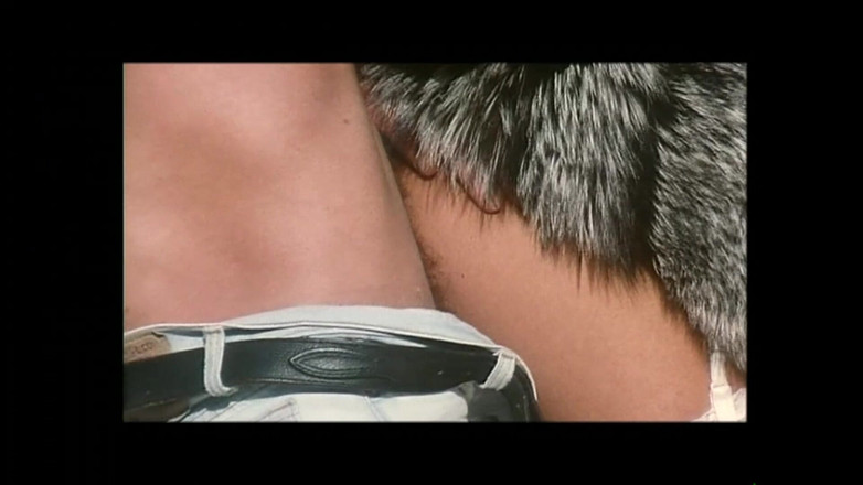 FM Video films: Bộ sưu tập Luana Borgia