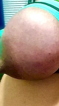 Latihan besar hucow udders