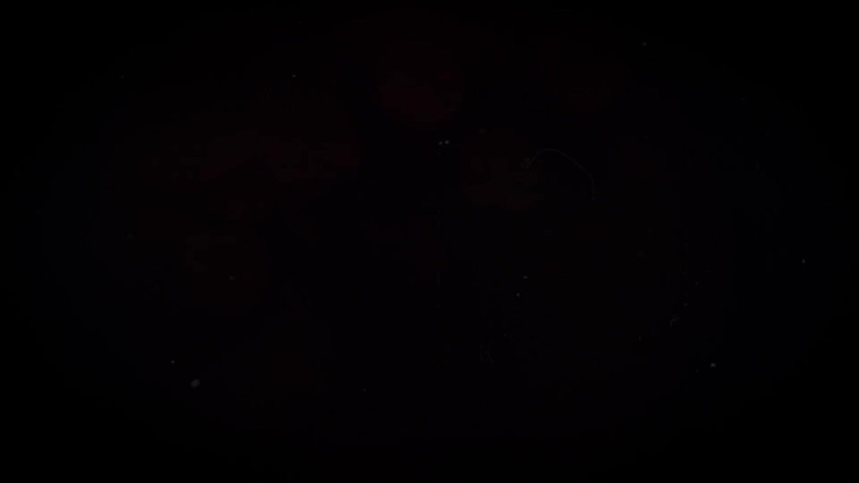 Jimbob Star GAY: 정액이 될 때까지 자지를 핥는 Jimbob