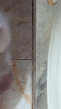 Solo Shower Play with Realistic Sex Toy | POV Masturbation