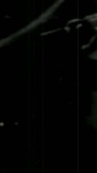 Trailer061