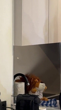 Žhavá a nadržená sexy dlouhá brunetka v černých síťovaných punčochách si vezme její krajkové kalhotky do flash kundičky a zadku