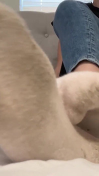 Du Brauchst Meine Stinkenden Socken