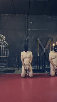 Dominatrix Mistress April - Tři otroci s jedním bičem!