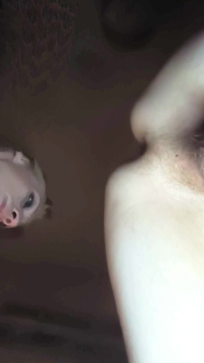 Couple porno hard strapon: riming aur peging yugal