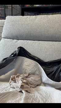 ライブ配信をするとき