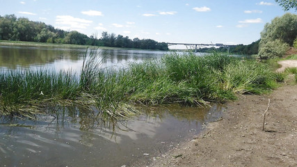 Alexa Cosmic: Alexa Cosmic transgirl plave v oblečení v řece, v džínových košilích...