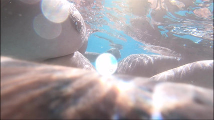 Cheyenne Rose 80: Trio in piscina