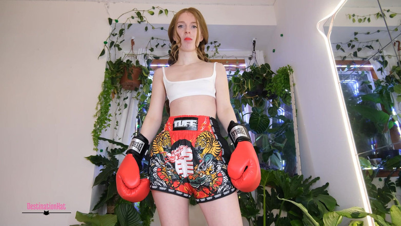 Destination Kat: Boks i seks