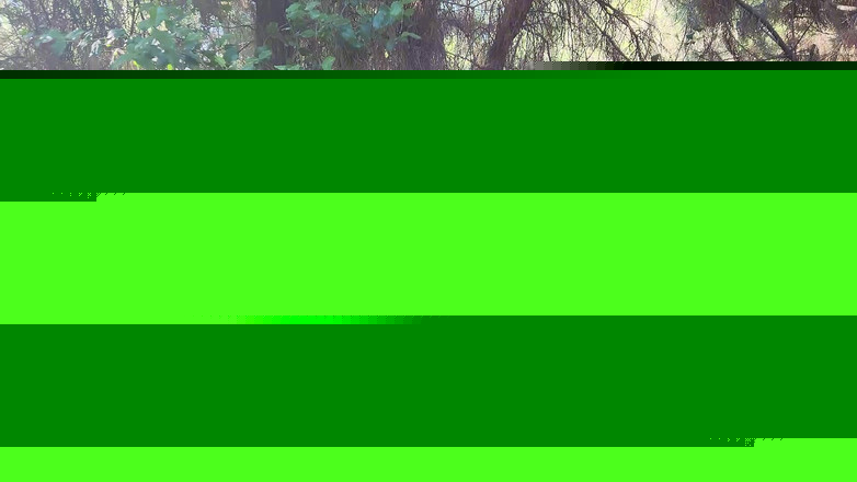 Riderqueen BBW Step Mom Latina Ebony: Riderqueen sám