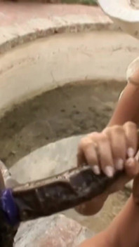 Zakar tebal mengongkek pepek kecil ini