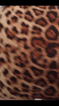 I Lift My Dress My Dress and Tempt You with My Pussy and Ass