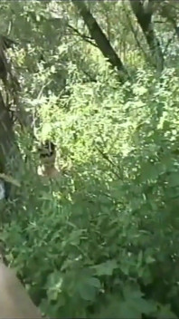 Beautiful Young Girl Fucked Doggy Style and Cummed on Ass by Big Cock Outdoors