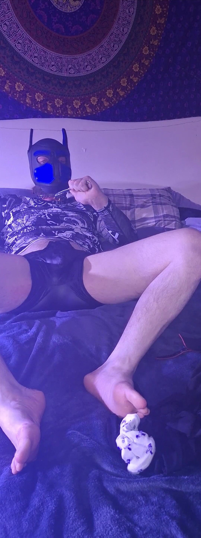 Robert48569: Skórzana bielizna klapsy zwierzaka