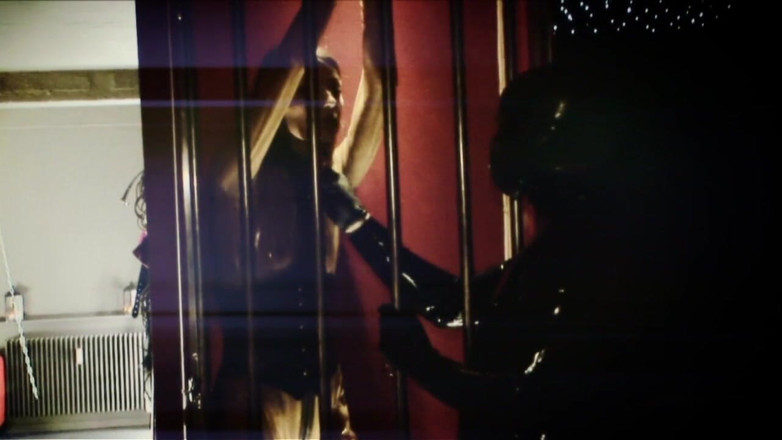 Fetish Artcore: Sexiga kycklingar dominerade hela tiden - DVD