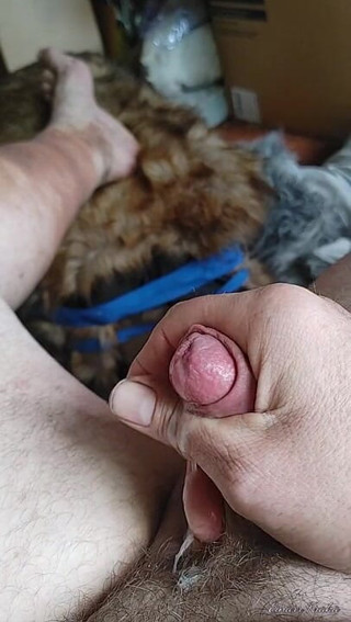 BigManShaman: 자지를 잡아당기기