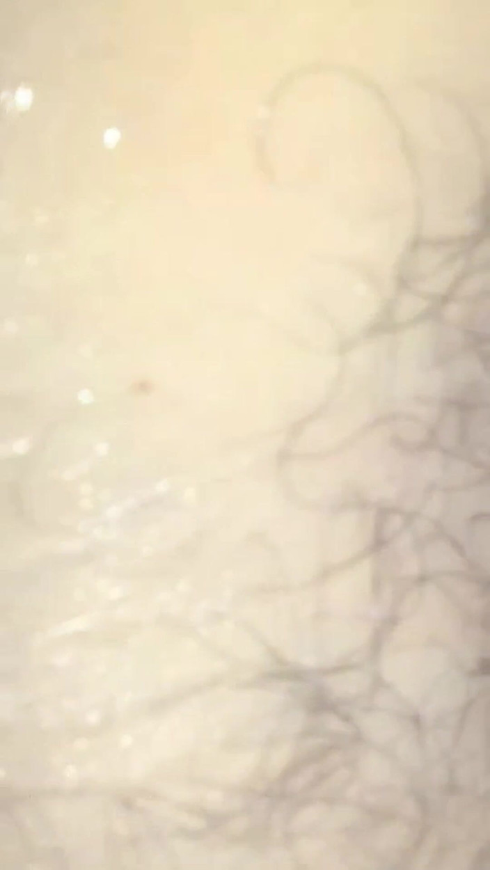 Aminaarab: 큰 자지로 내 후장을 따먹어