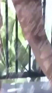 Busty Latina Gets Her Big Tits and Tight Pussy Fucked Hard