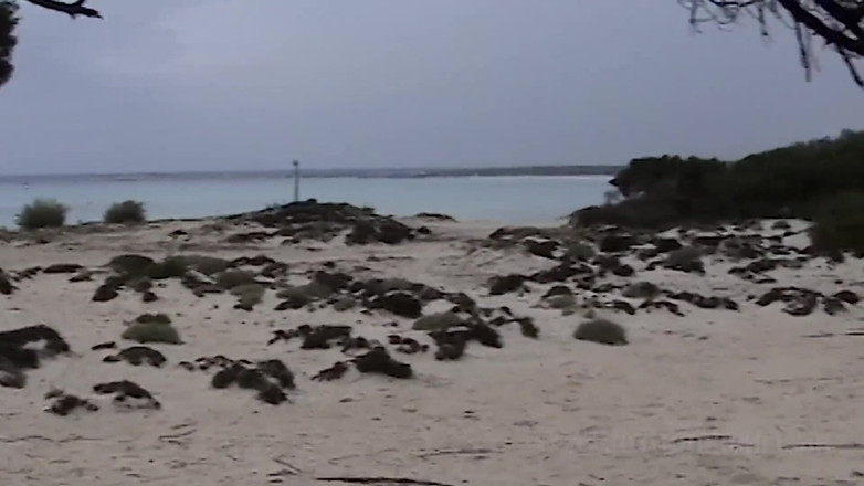 Sextermedia by Pete: Couple Spied on While Fucking on the Beach