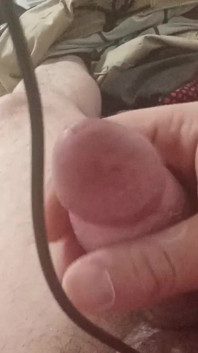 My Dick